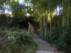 -塔川景区
