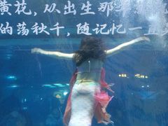 -重庆欢乐海底世界