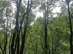 -巴倒烫陆派火锅山庄(南山总店)