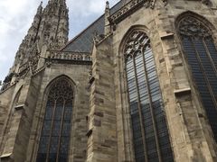 -斯蒂芬主教座堂(Stephansdom)