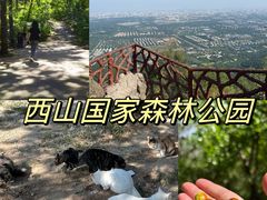 -北京西山国家森林公园