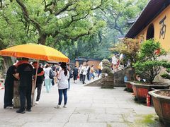 -普陀山风景名胜区-法雨禅寺