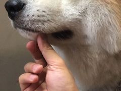 -YCHL Studios健身工作室(市二宫店)