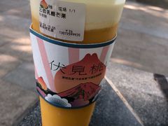 -伏小桃(明瓦廊店)