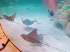 -沈阳海洋探索中心