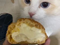 -老香港蛋糕(梓桐苑店)