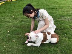 -洪湖家庭农场·团建·露营·会议