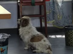 -粤华烧腊(胥口店)