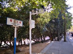 -武汉大学-樱园