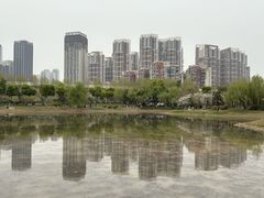 -堤角公园