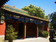 -药王庙(安国市)