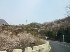 -妙峰山风景名胜区