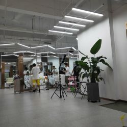 -蚂蚁造型沙龙