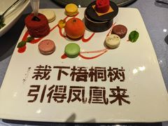 -梧桐
