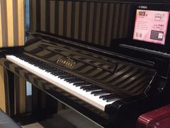 -雅马哈乐器专卖店(广州旗舰店)