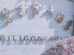 -碧丽宫大酒店(召稼楼店)
