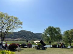 -径山花海