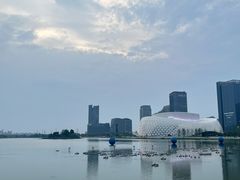 -金沙湖公园