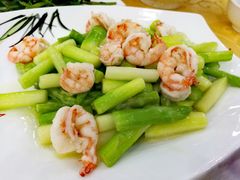 -海岛渔村大酒店(云霄路店)