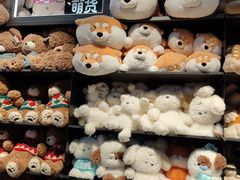 -酷乐潮玩(五道口购物中心店)