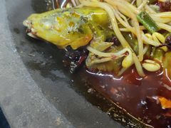 -秦巴石锅鱼(文化南路店)