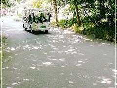 -吴淞炮台湾湿地森林公园烧烤区