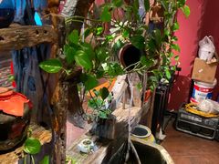 -大匠工房古船木艺术餐厅·猪肚鸡专门店(长白仙岛店)