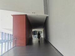 -四川大学博物馆