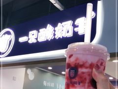 -一只酸奶牛(八一路店)