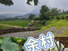 -阿露佳·舌尖上的安吉菜