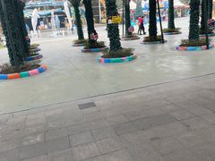 -海合安成都极地海洋公园
