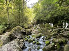 -青城山