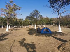 -艾溪湖湿地公园