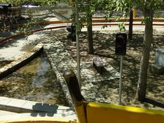 -朝阳公园游乐园