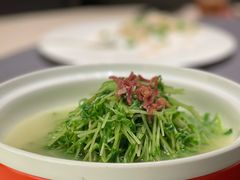 上汤豌豆苗-同庆楼(华强吾悦广场店)