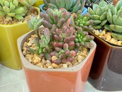 -摩登百货(岗顶店)