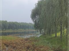 -东坝千亩湖公园