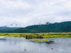 -腾冲北海湿地