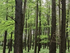 -月湖风景区