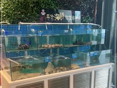 -佳兰雅序融合菜(高新店)