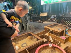 -酷嗒动物文化乐园(cutezoo西溪乐天城店)