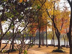 -南翔镇银翔湖公园