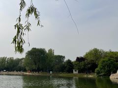 -森林公园(尖草坪区)