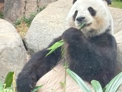 -香港海洋公园