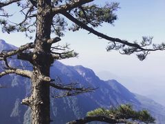 -萍乡武功山风景名胜区