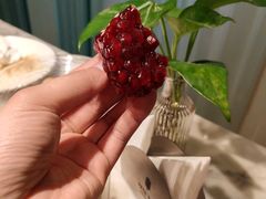 -湖锦酒楼·30年经典湖北菜(沌口店)