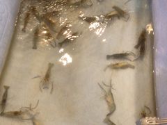 -芭提雅Amporn Seafood自助餐厅