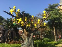 -史努比缤纷世界