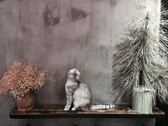 -MIKAKU(万达广场上海宝山店)