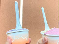 -Dip in Gelato(富民路店)